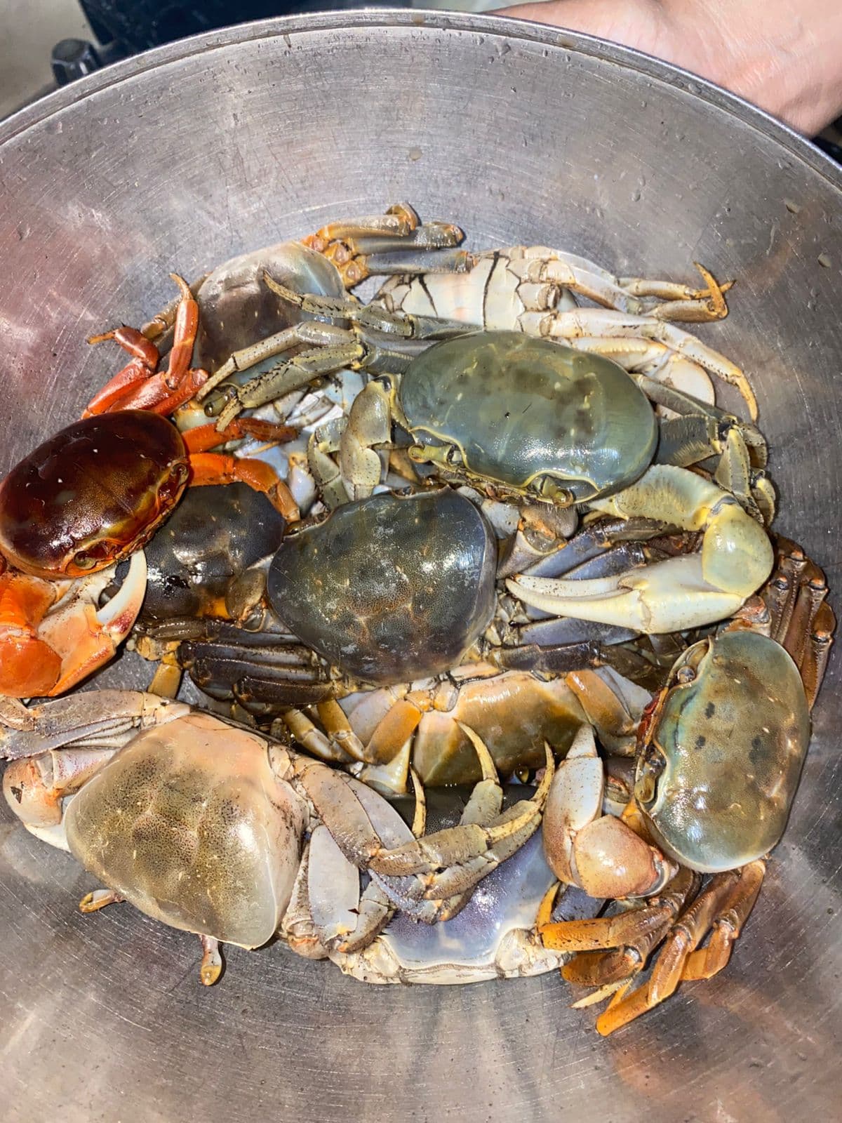 Pescadería altamar, zona oriental