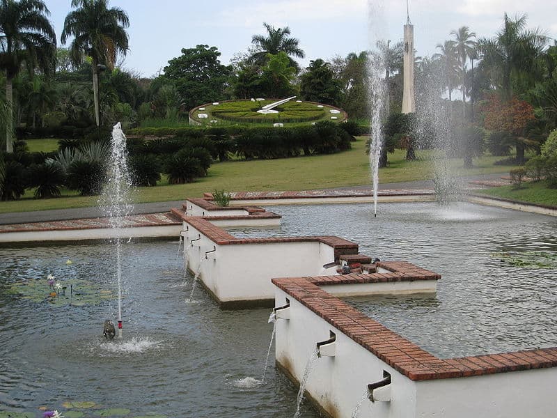 El reloj floral del Jardín Botánico Nacional