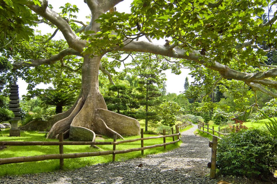 Jardín Botánico Nacional