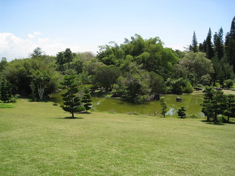 El jardín japonés, uno de los rincones favoritos del Botánico